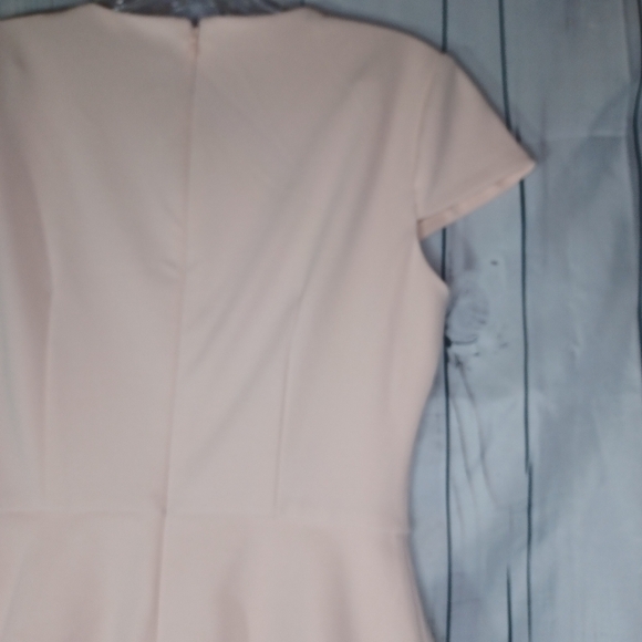 Vince Camuto Elegant Pink Scalloped short sleeve Dress - Picture 9 of 12